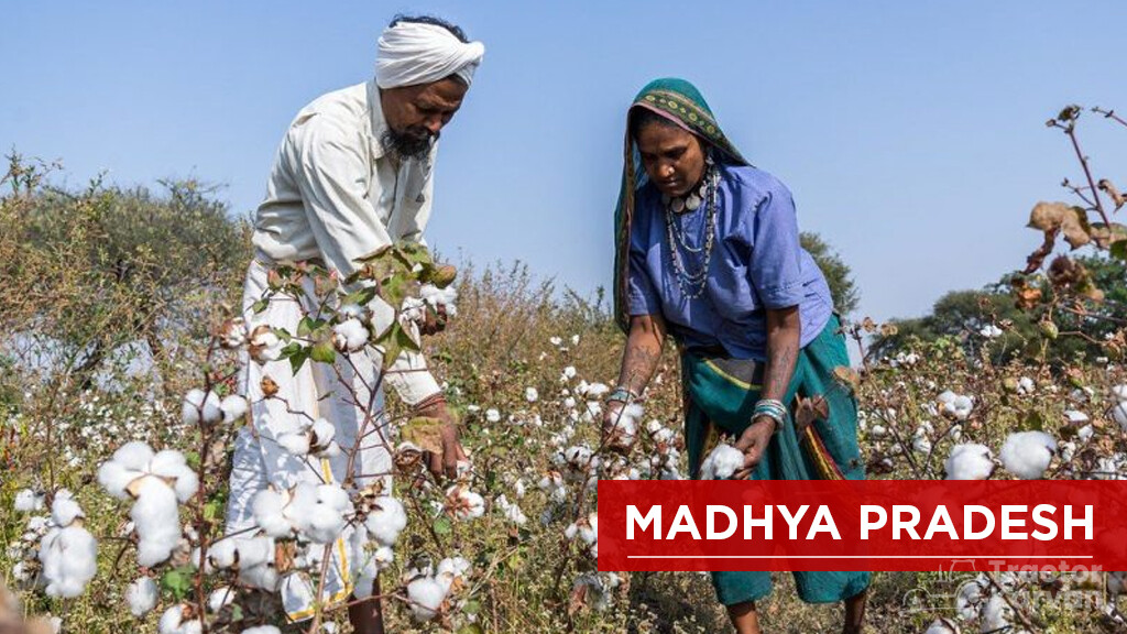 Top Cotton Producing States - Madhya Pradesh
