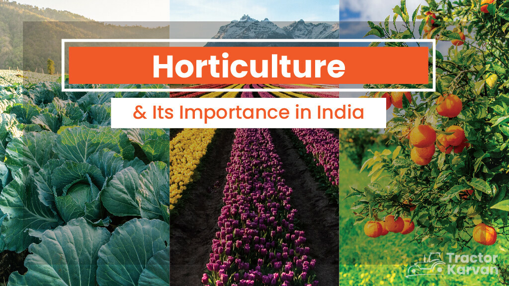What is Horticulture, Crops & Its Importance