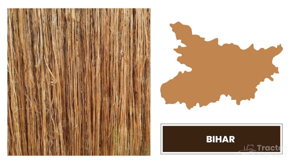 Top Jute Producing States - Bihar