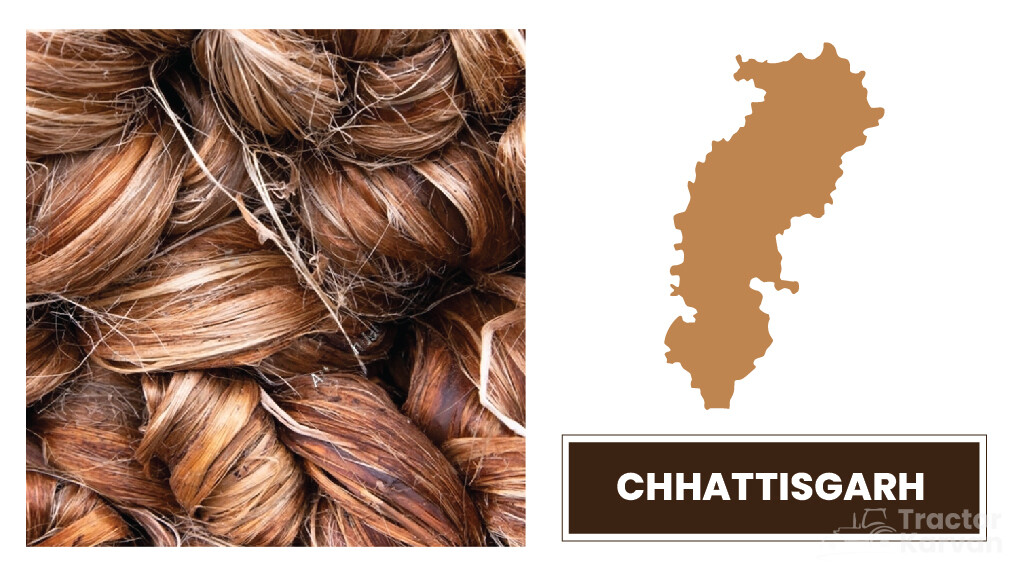Top Jute Producing States - Chhattisgarh