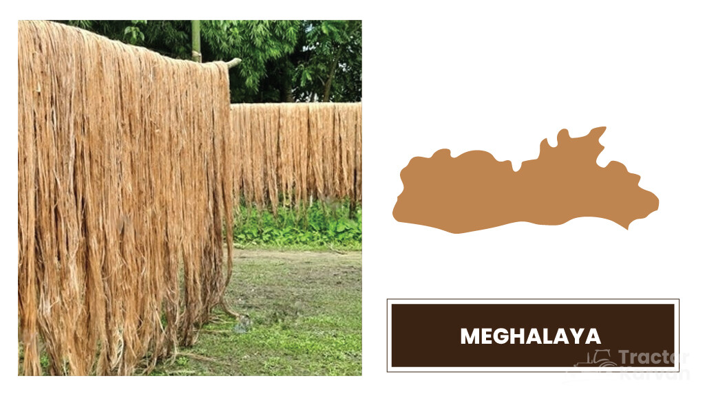 Top Jute Producing States - Meghalaya