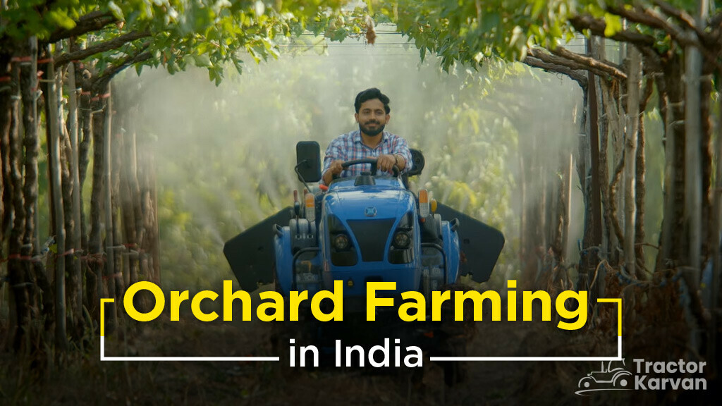 A StepbyStep Guide to Orchard Farming in India