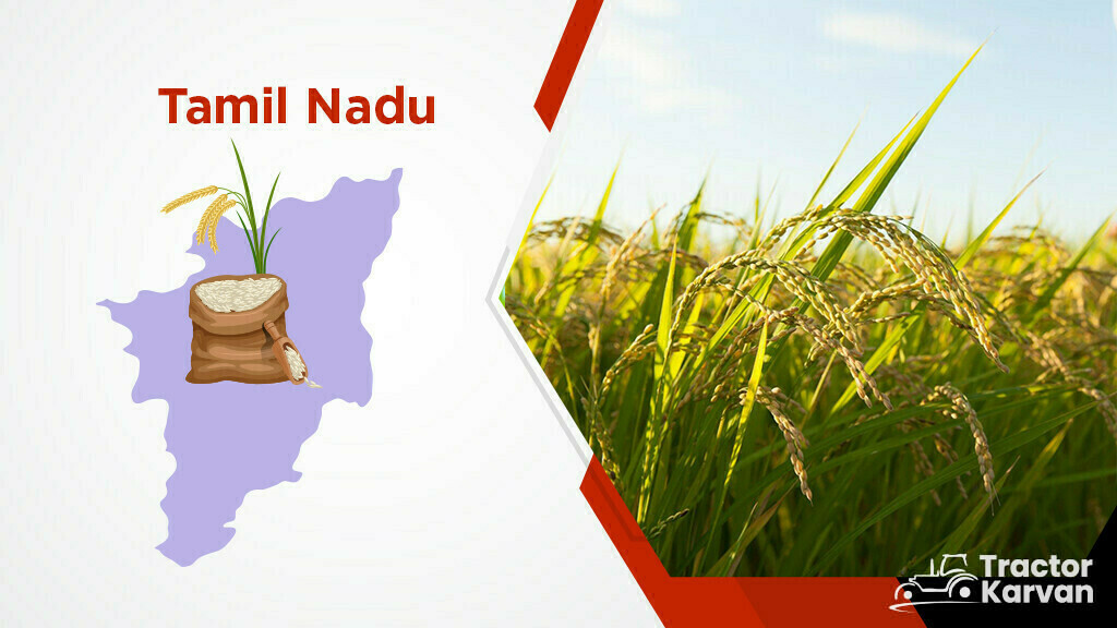 Top Rice Producing States - Tamil Nadu