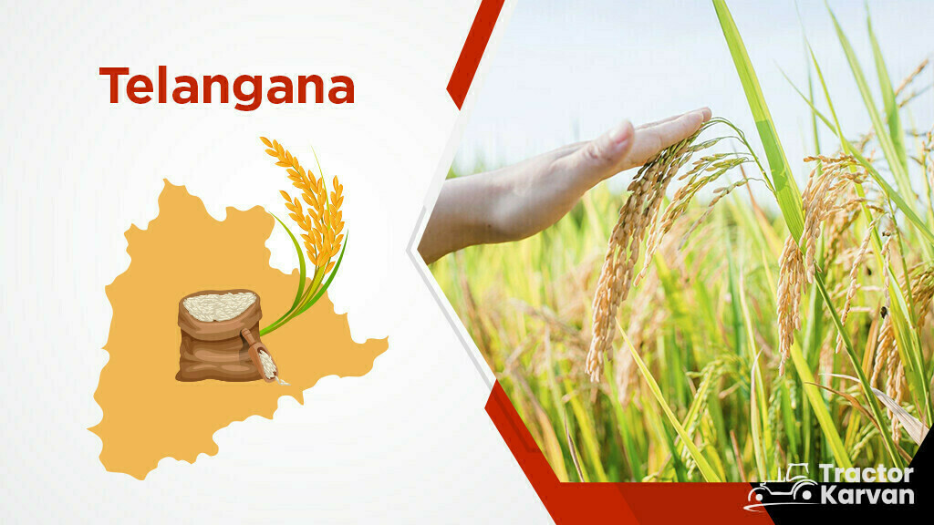 Top Rice Producing States - Telangana