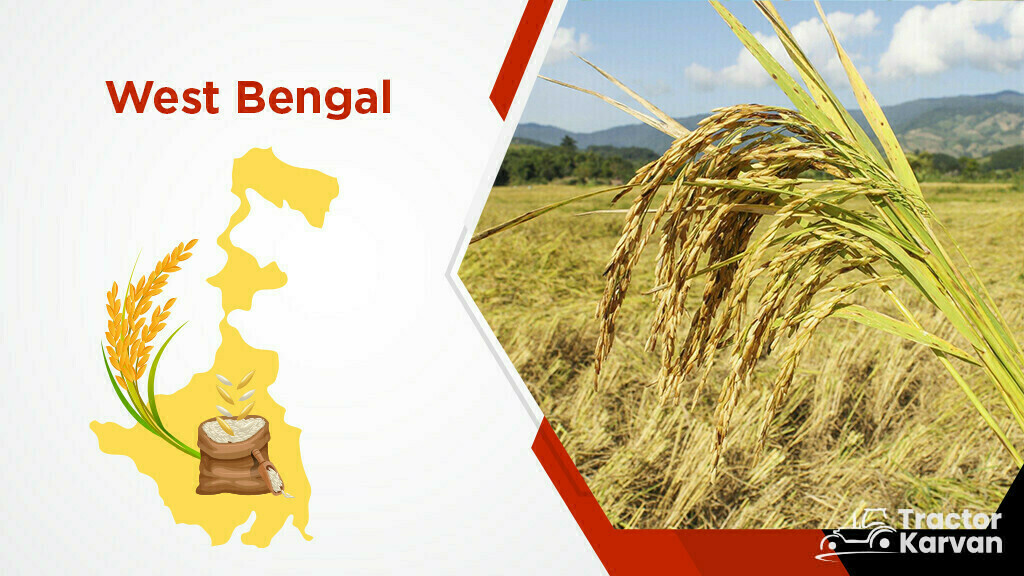 Top Rice Producing States - West Bengal