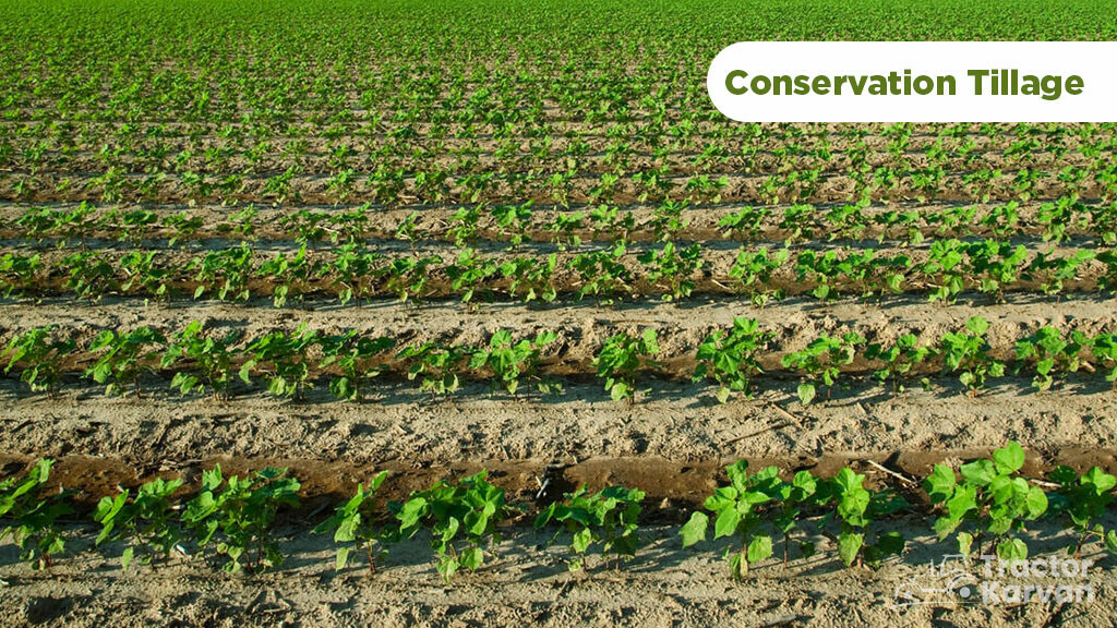 Top Soil Conservation Method - Conservation Tillage