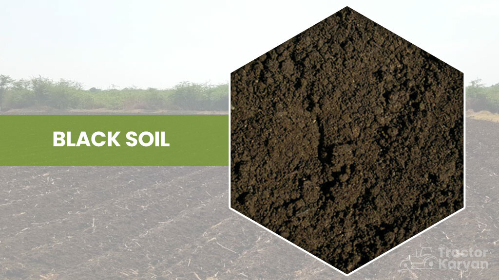 Soil types - Black soil