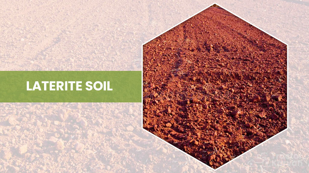 Laterite Soil In Kerala