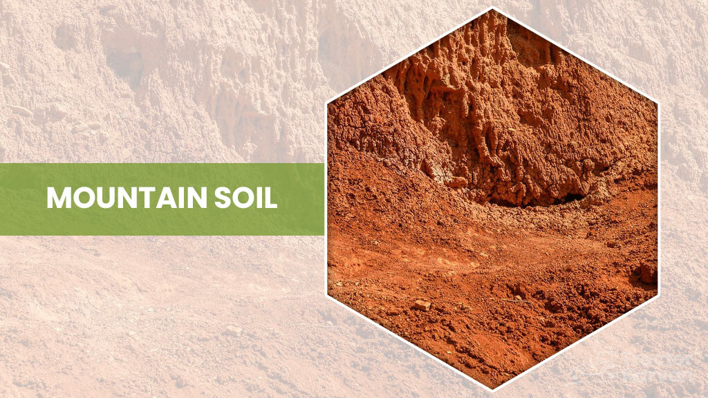 Soil types - Mountain soil