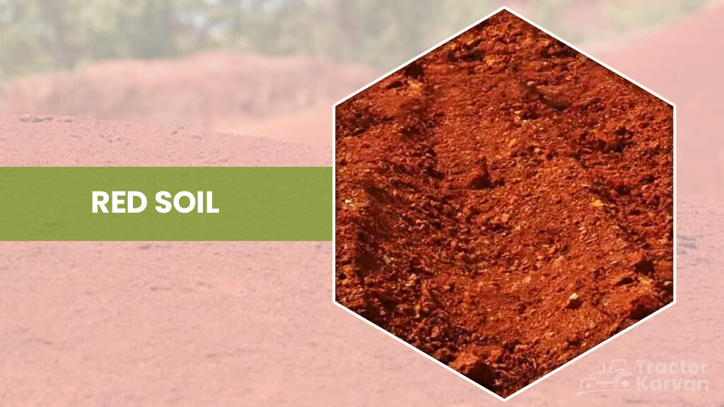 Soil types - Red soil