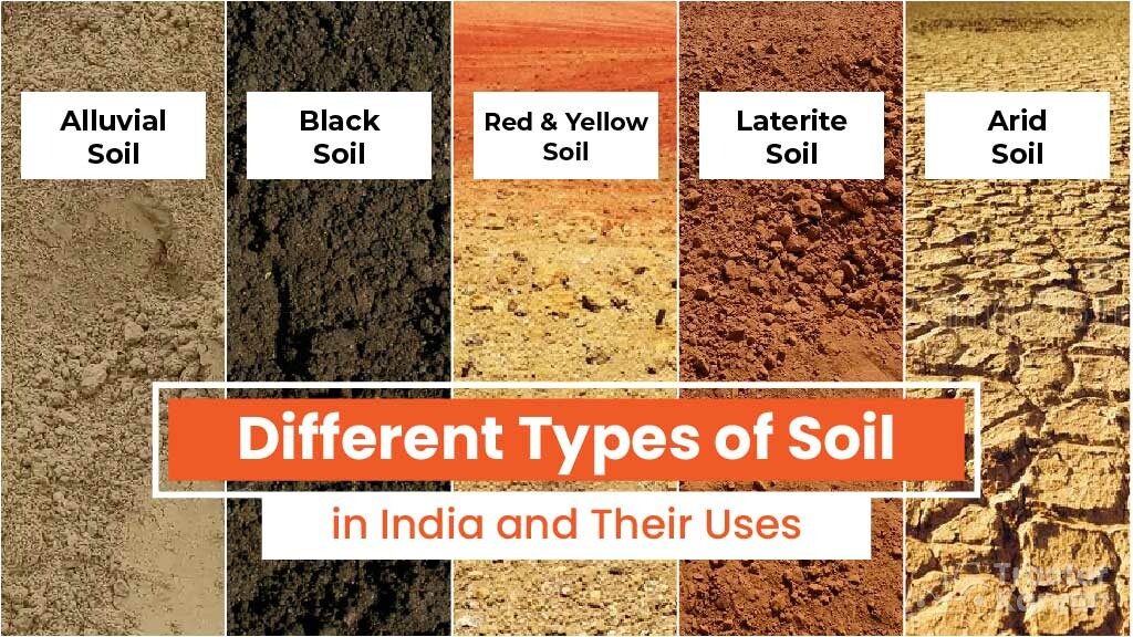 Types of Soil in India - Methods and Process