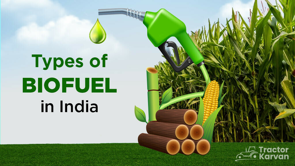 What Is Biofuels, Types And Impact Of Biofuels