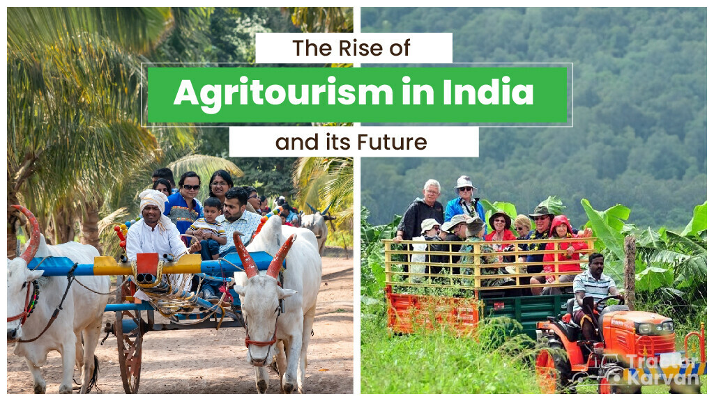 Agritourism In India And Future Of Agritourism