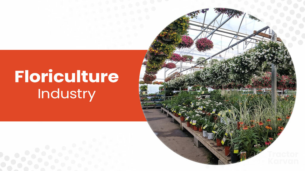 Top agro based industries - Floriculture Industry