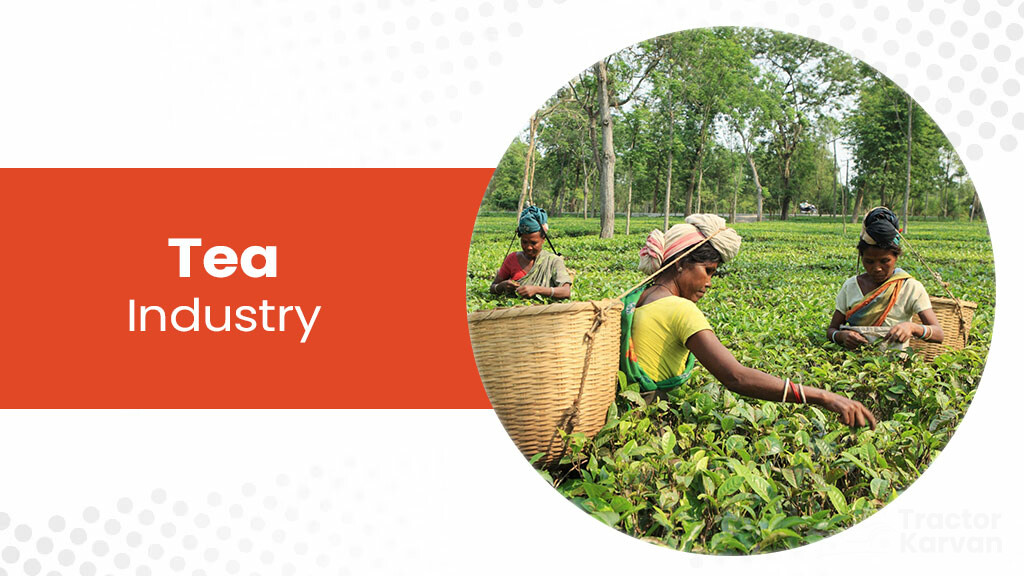 Top agro based industries - Tea Industry
