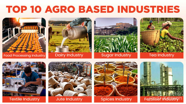 business plan for agro based industries