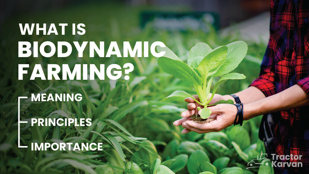 What is Biodynamic Farming in India Tractorkarvan