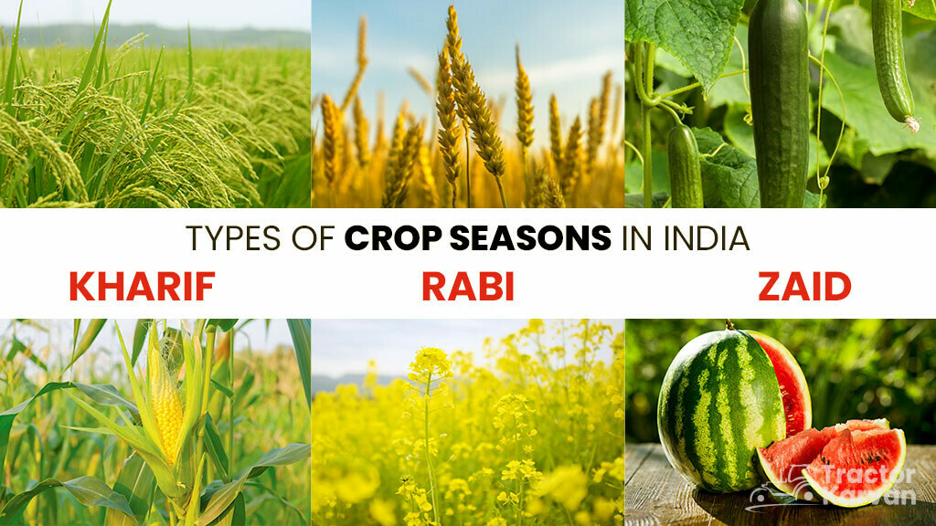 Crop Seasons - Types of Crop Season in India