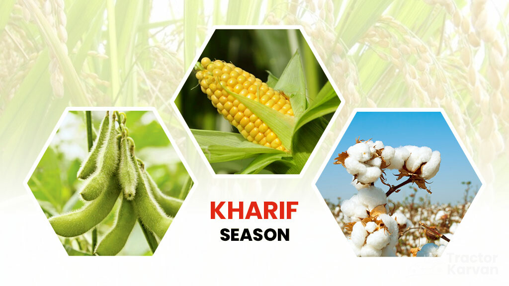Crop Season - Kharif