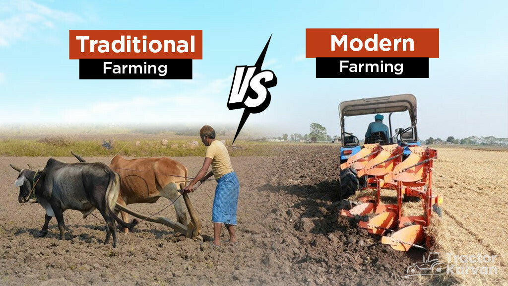Difference Between Traditional Farming Vs Modern Farming