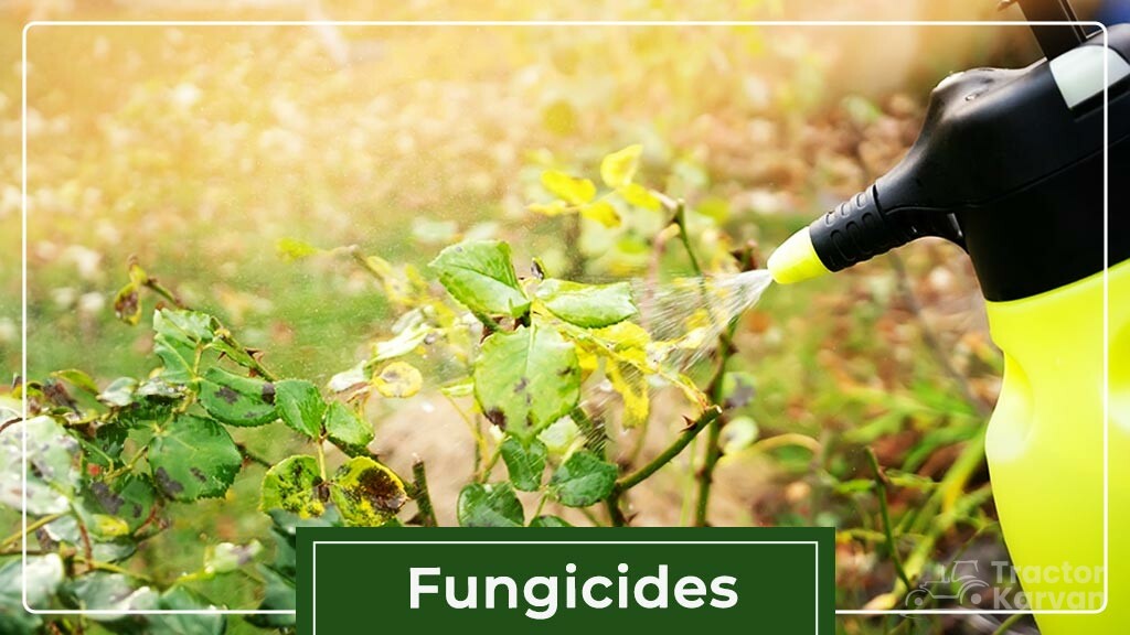 Type of Pesticides- Fungicides