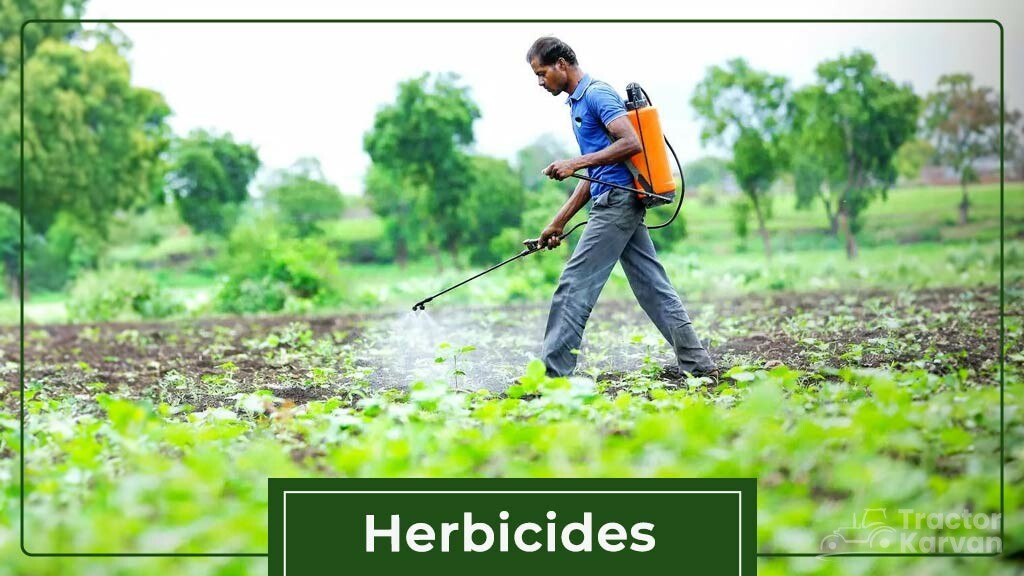 Type of Pesticides- Herbicides