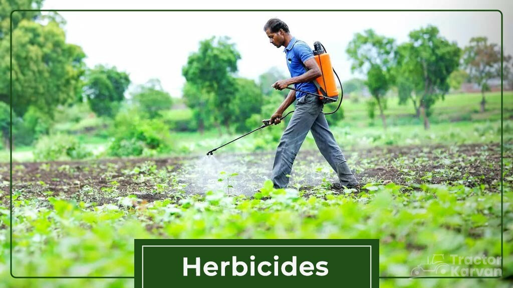 Types Of Herbicides