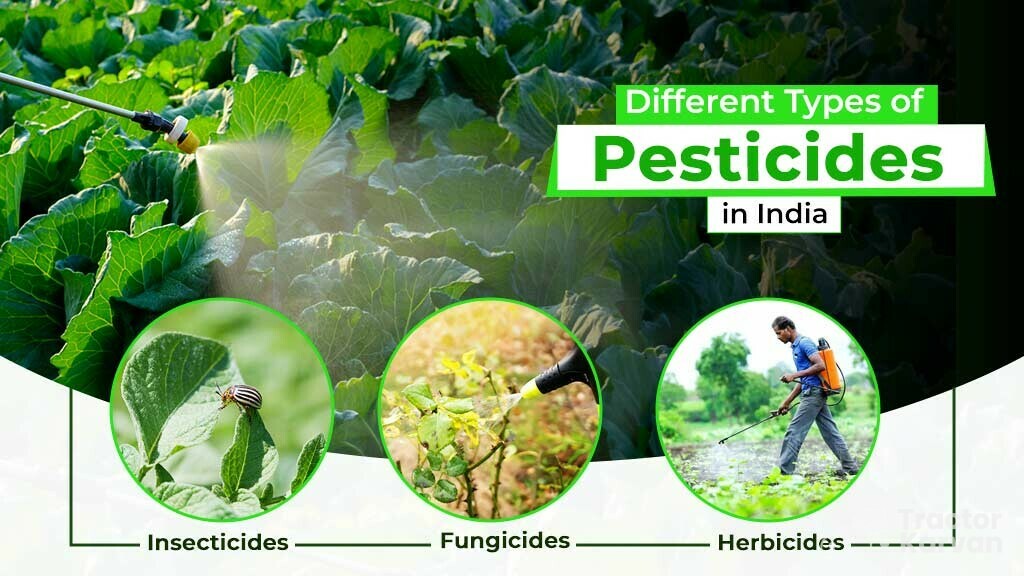 Insecticides: What are Insecticides, It's Uses, Types & Advantages
