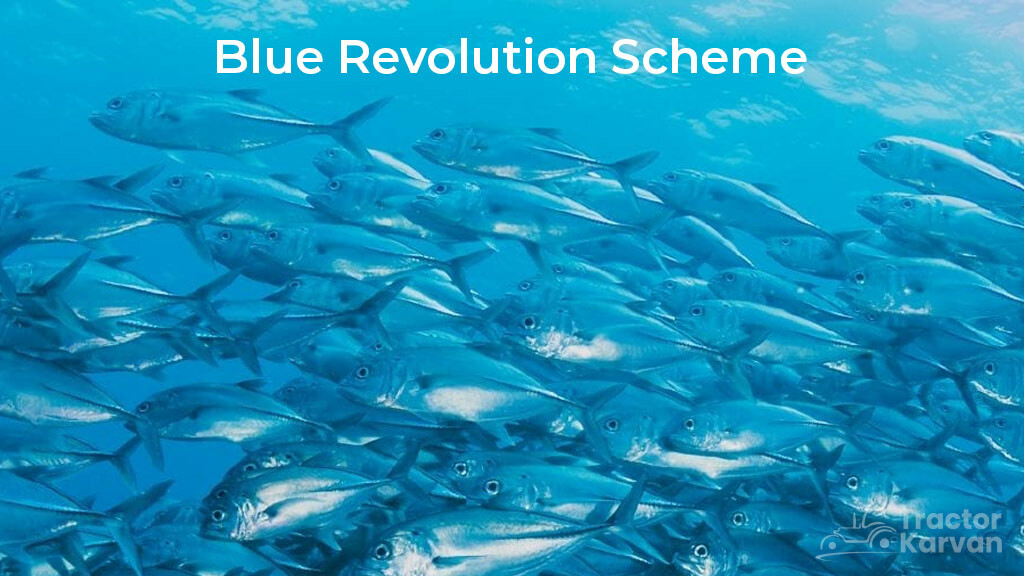 Fishing Sector Schemes - Blue Revolution