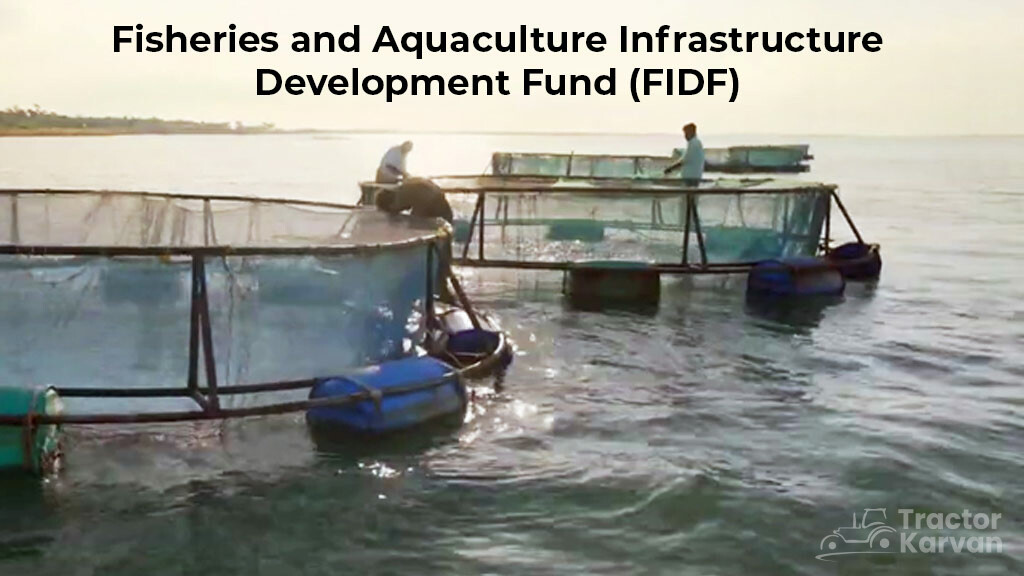 Fishing Sector Schemes - FIDF