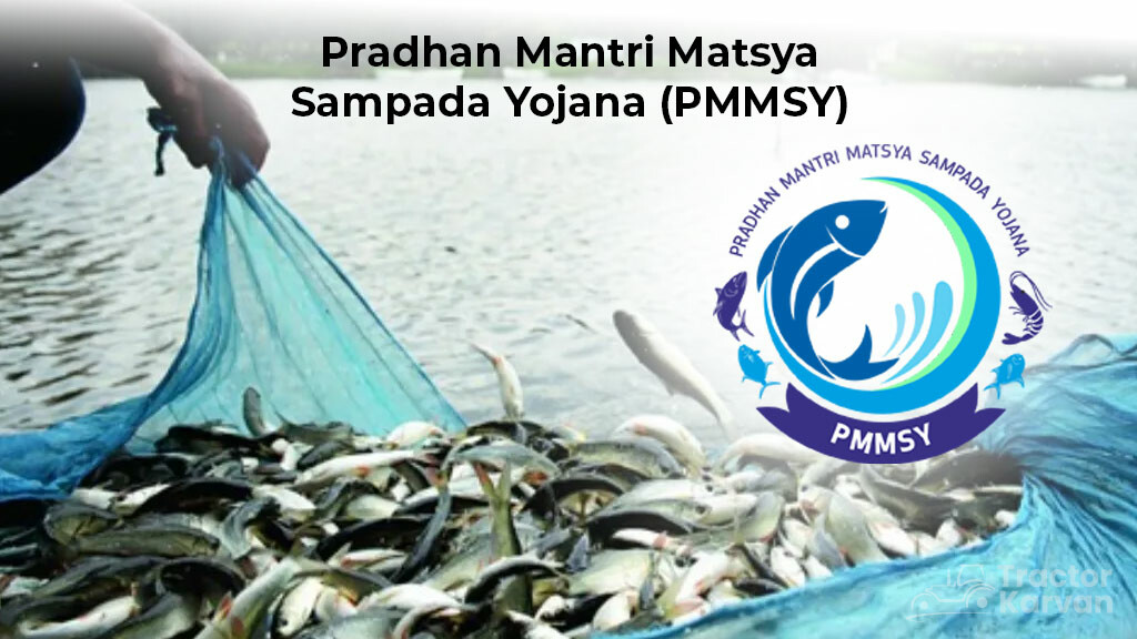 Fishing Sector Schemes - PMMSY