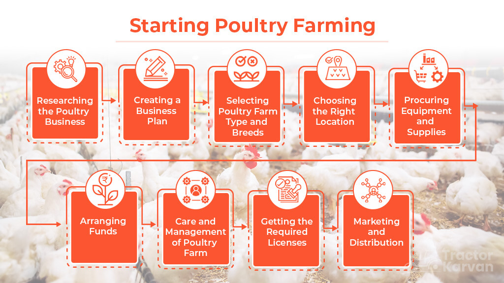 Process to Start Poultry Farming