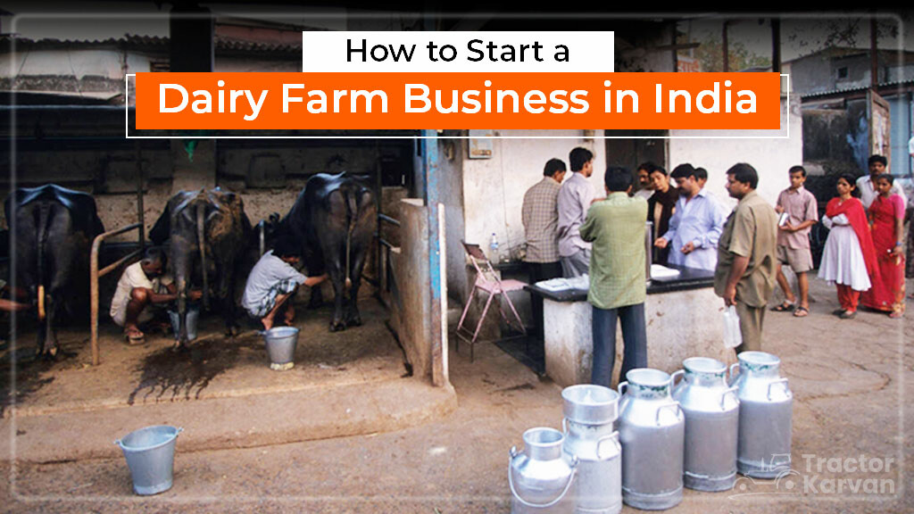 dairy farming business plan india in hindi