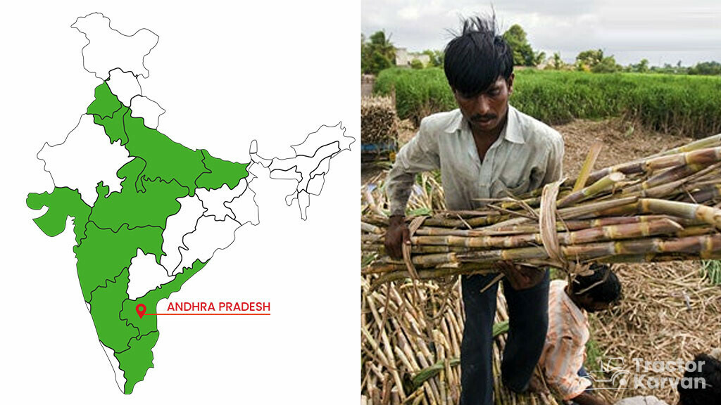 Top Sugarcane States - Andhra Pradesh