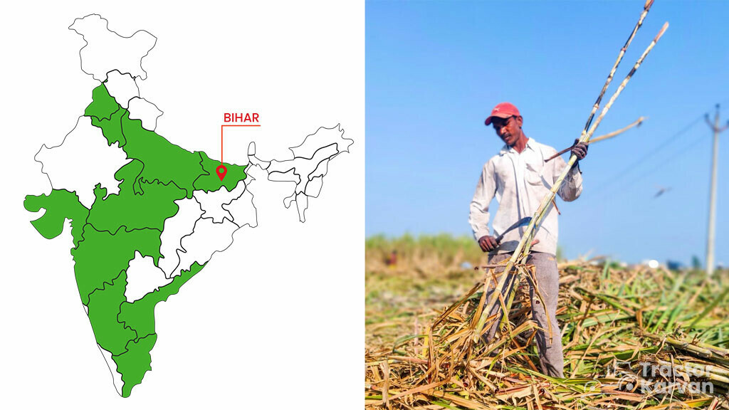 Top Sugarcane States - Bihar