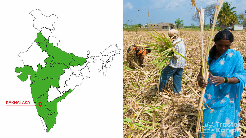 Top Sugarcane States - Karnataka