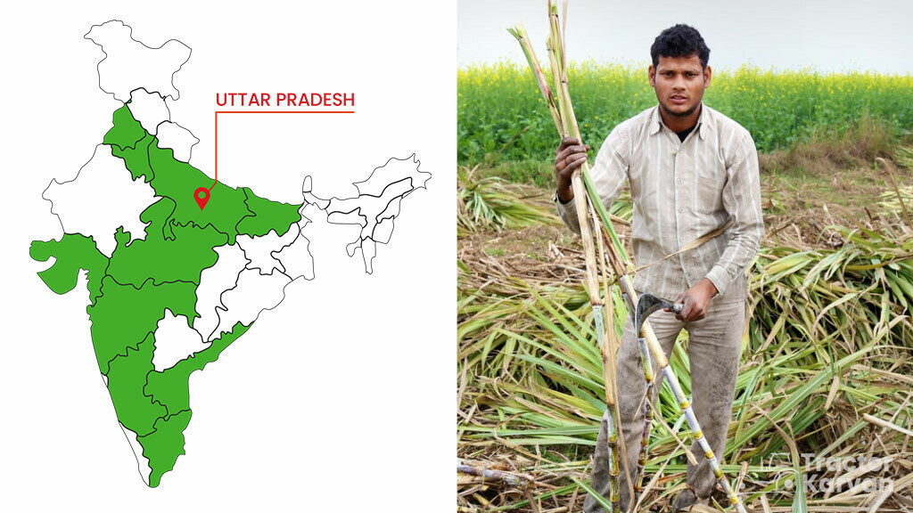 Top Sugarcane States - Uttar Pradesh