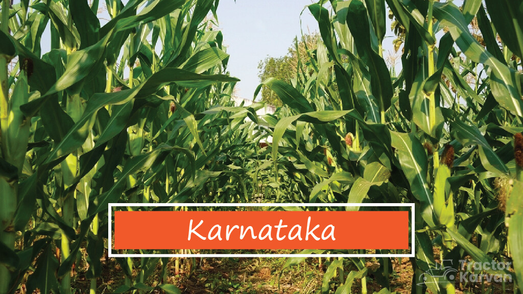 Top Maize Producing States - Karnataka