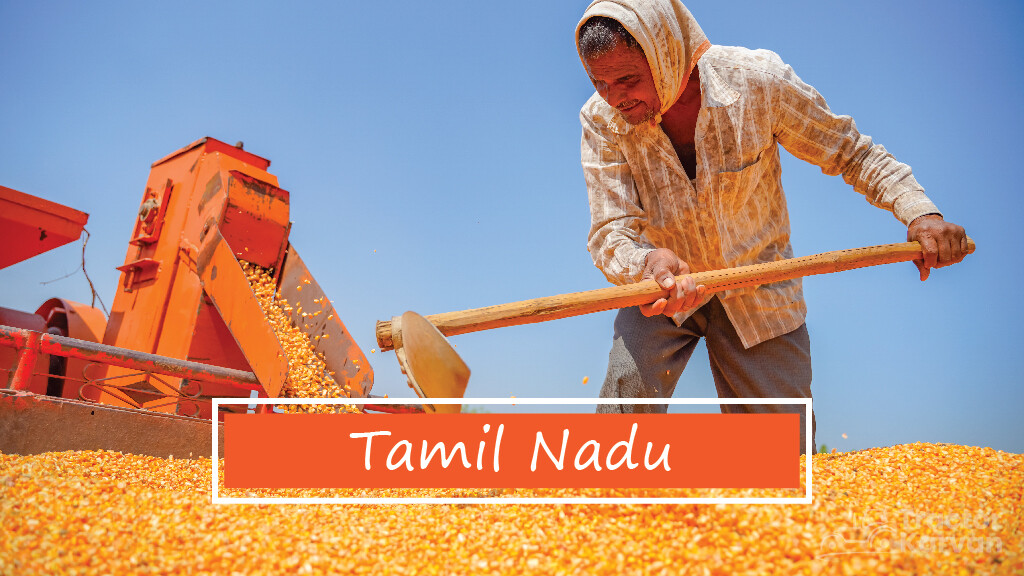 Top Maize Producing States - Tamil Nadu