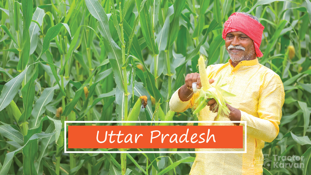 Top Maize Producing States - Uttar Pradesh