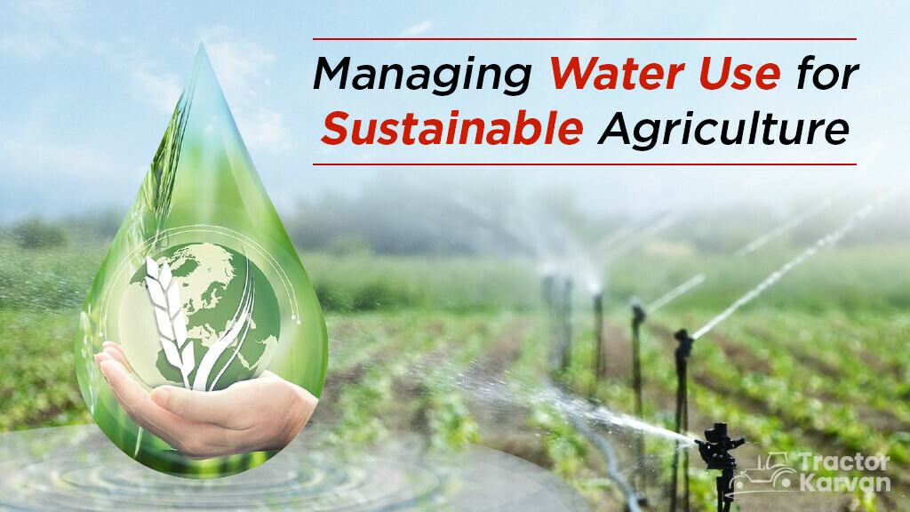 How To Manage Water For Sustainable Agriculture