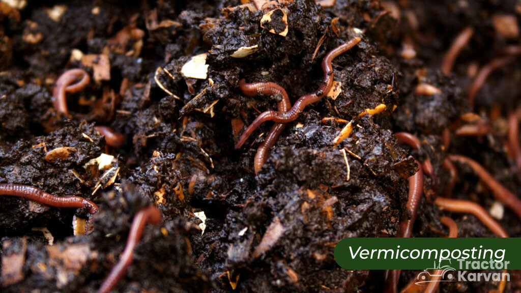 Top Composting Methods - Vermicomposting