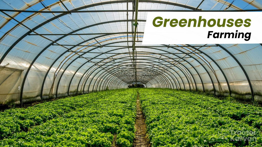 Modern Farming Methods - Greenhouses