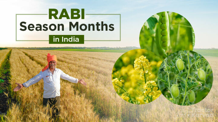 read-tractor-blogs-agriculture-blogs-tractor-implements-blogs-page