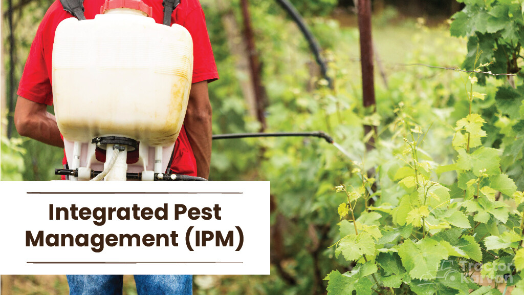 Sustainable Agriculture Practices - Integrated Pest Management
