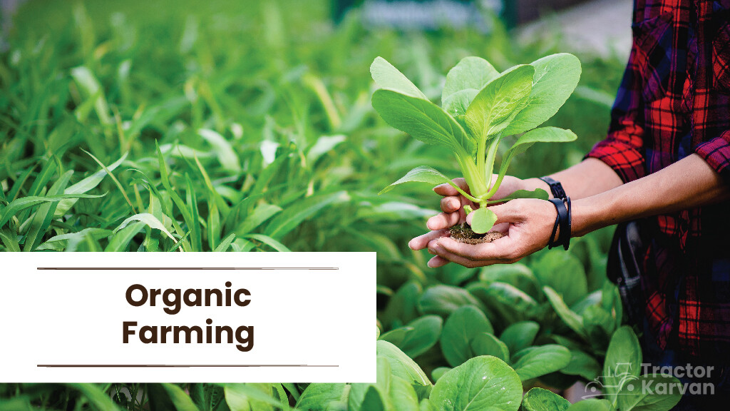 Sustainable Agriculture Practices - Organic Farming