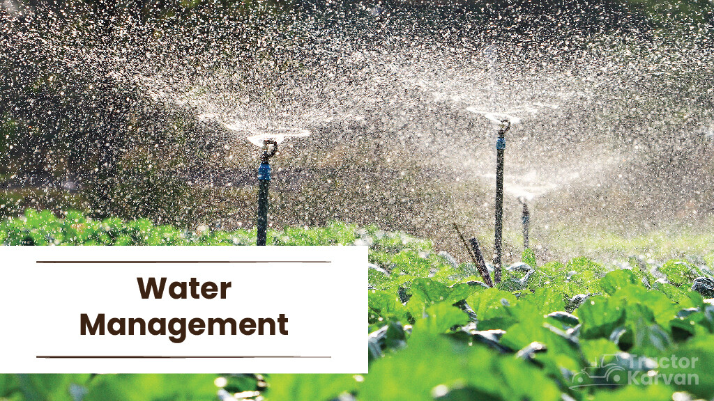 Sustainable Agriculture Practices - Water Management