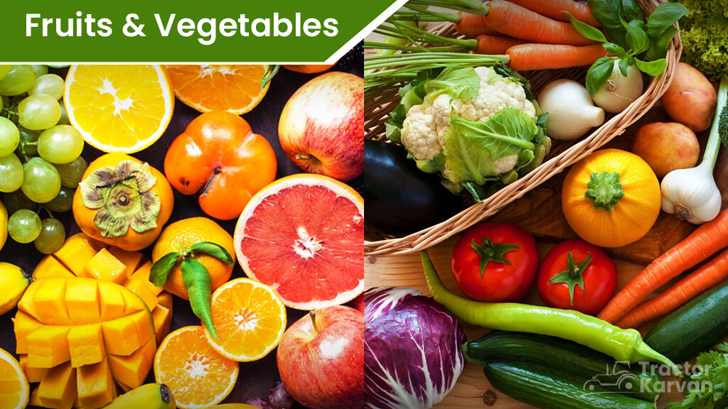 Top Cash Crops - Fruits & Vegetables