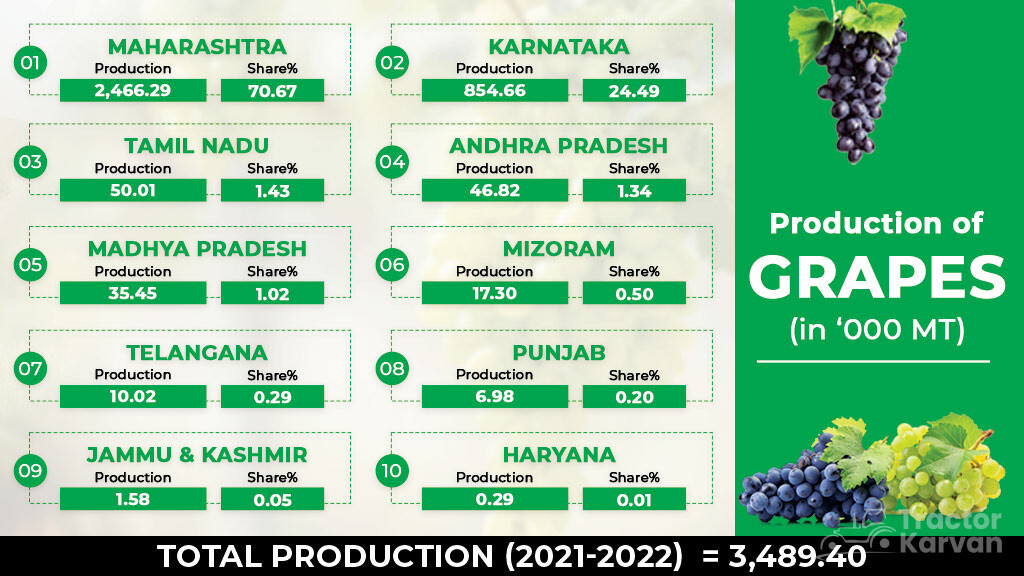 Production of Grapes in India