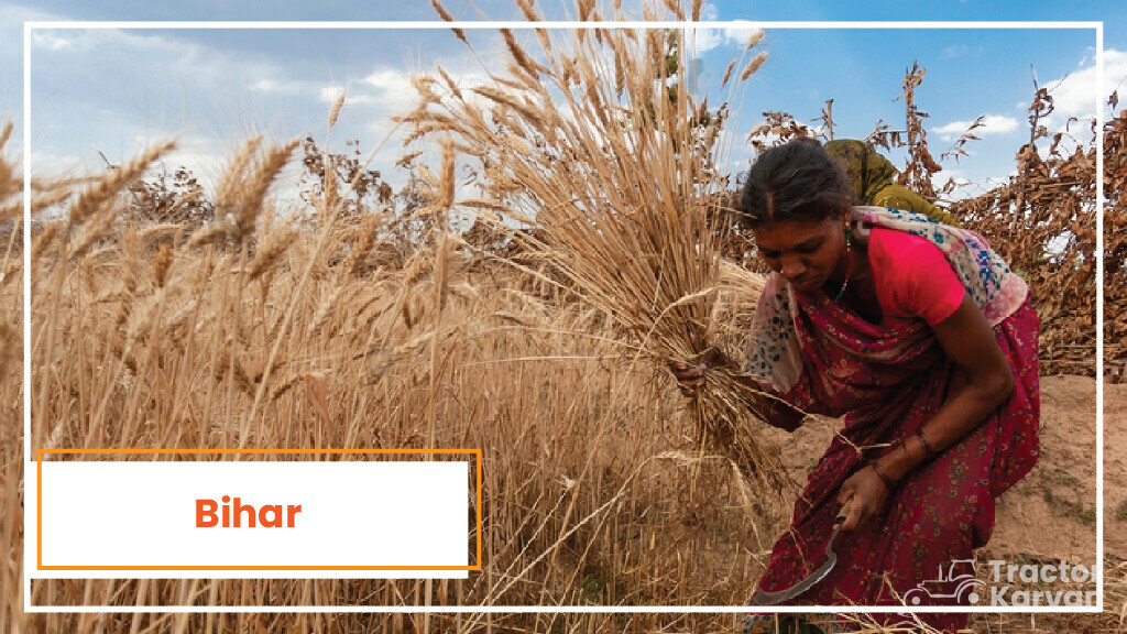 Top Wheat Producing States - Bihar